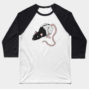 A Little Rattie - Black Hooded Baseball T-Shirt